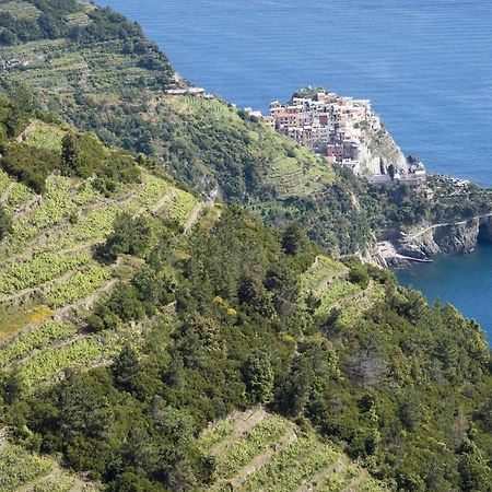 Pet Friendly Apartment In Monterosso With Wifi Monterosso al Mare Exterior foto